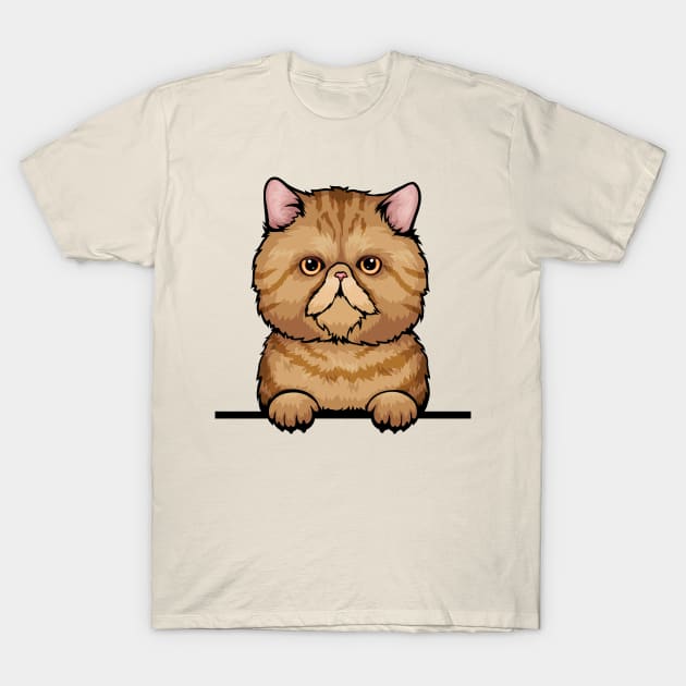 Tabby Exotic Cat T-Shirt by mankjchi